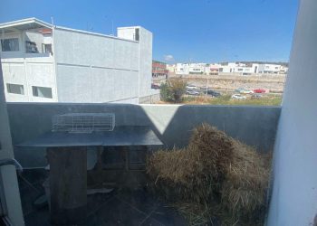 IMG-20250525-WA0039